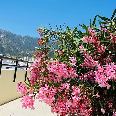 On The First Line Of The Sea With A View And Free Parking Apartment
