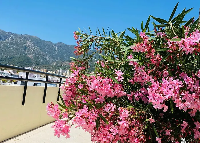 On The First Line Of The Sea With A View And Free Parking Apartamento